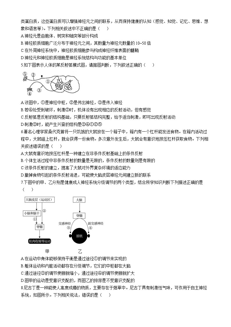 山东省菏泽市第一中学2024-2025学年高二上学期第一次月考生物试题第2页
