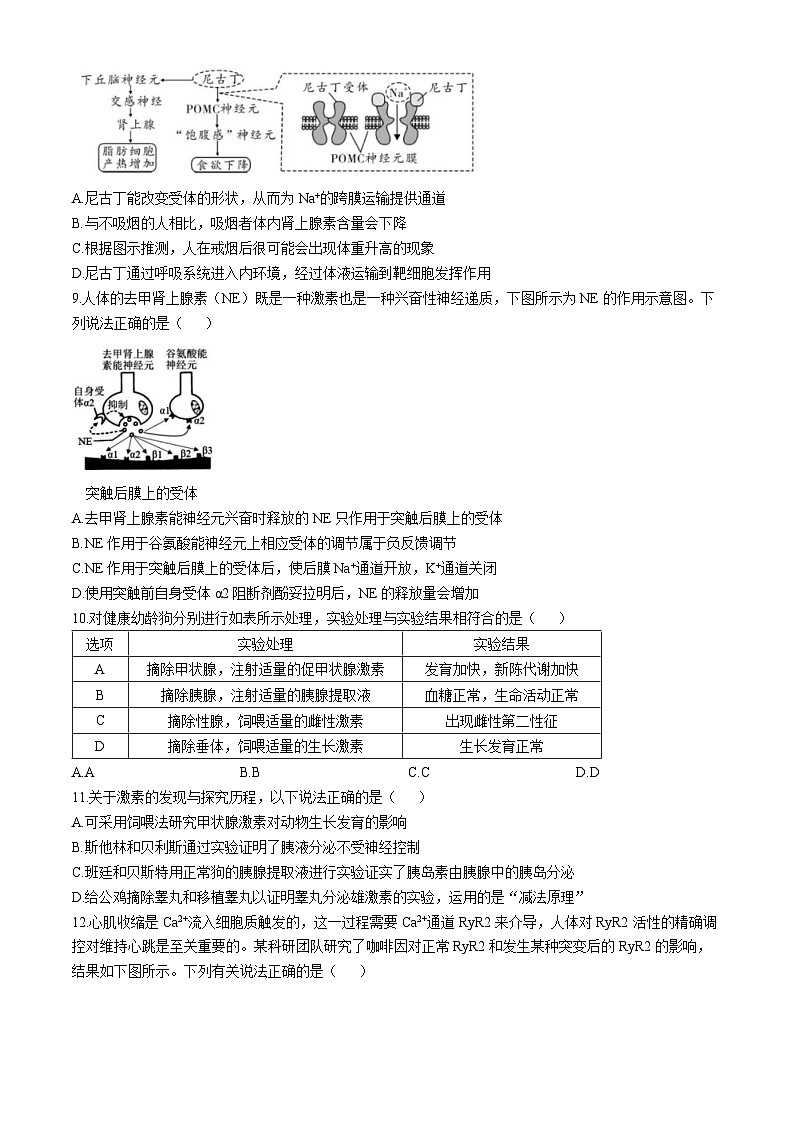 山东省菏泽市第一中学2024-2025学年高二上学期第一次月考生物试题第3页