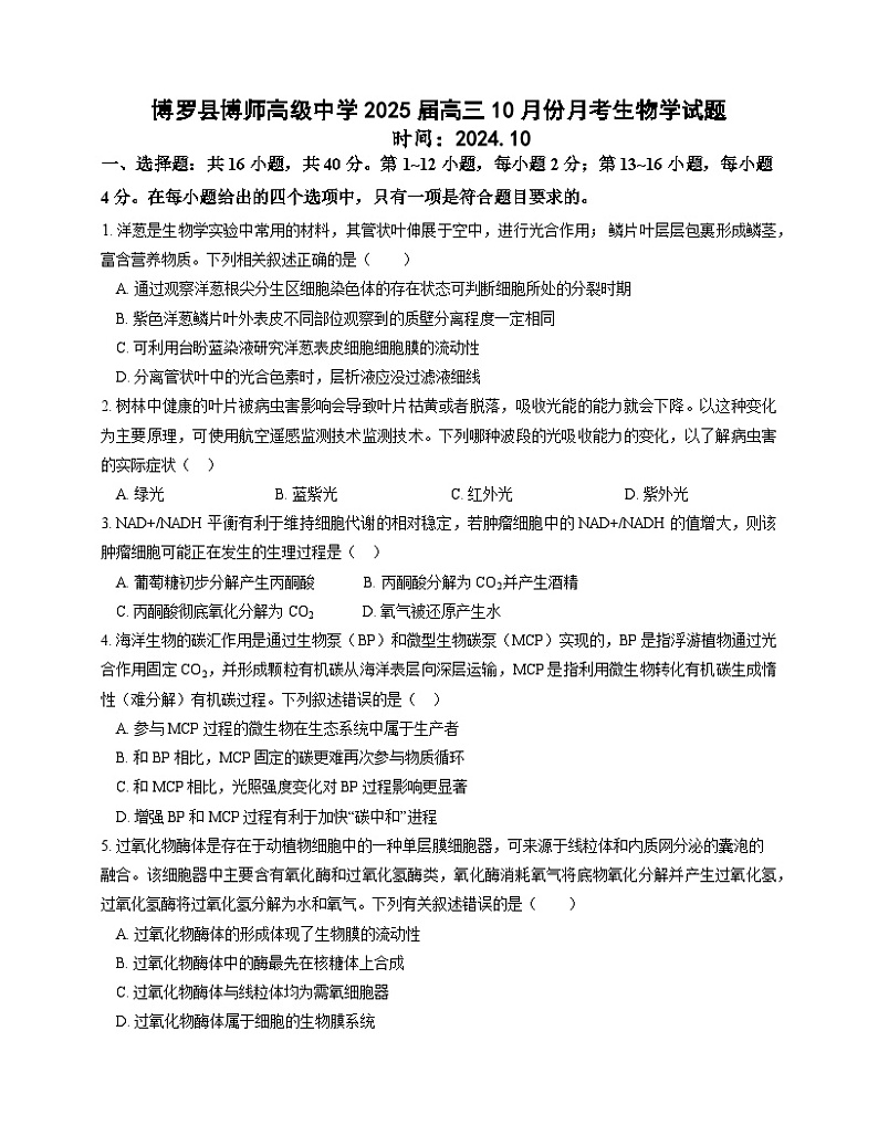 广东省博罗县博师高级中学2024-2025学年高三上学期10月月考生物试题第1页