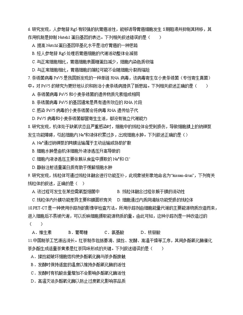 广东省博罗县博师高级中学2024-2025学年高三上学期10月月考生物试题第2页