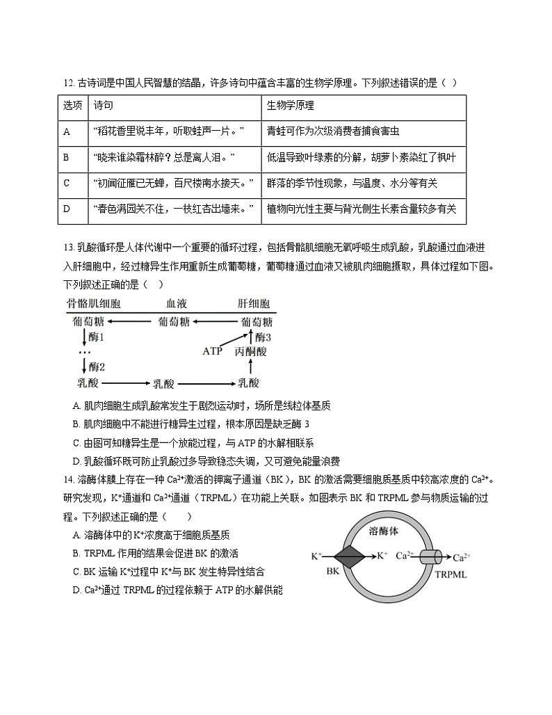 广东省博罗县博师高级中学2024-2025学年高三上学期10月月考生物试题第3页