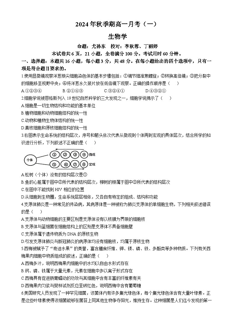广西壮族自治区玉林市博白县中学2024-2025学年高一上学期10月月考生物试题(无答案)第1页