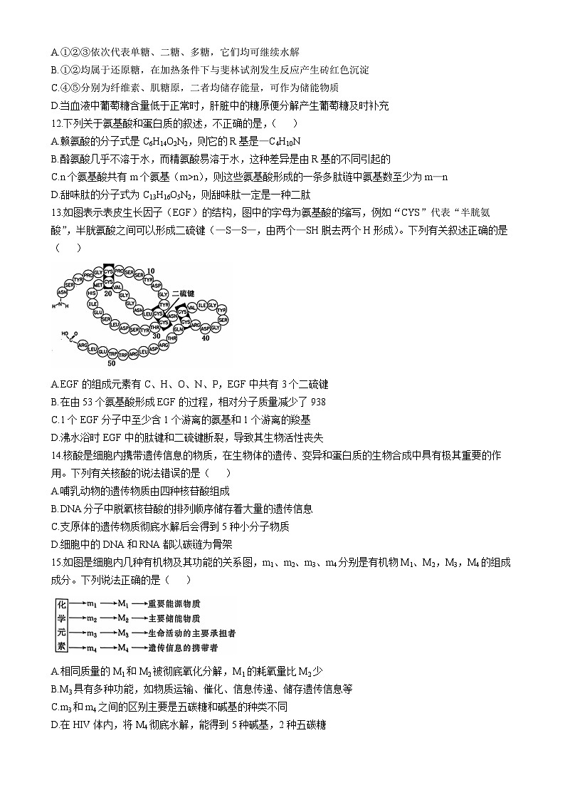 广西壮族自治区玉林市博白县中学2024-2025学年高一上学期10月月考生物试题(无答案)第3页