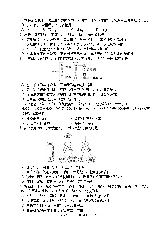 四川省绵阳南山中学高2024级高一上学期10月月考+生物第3页