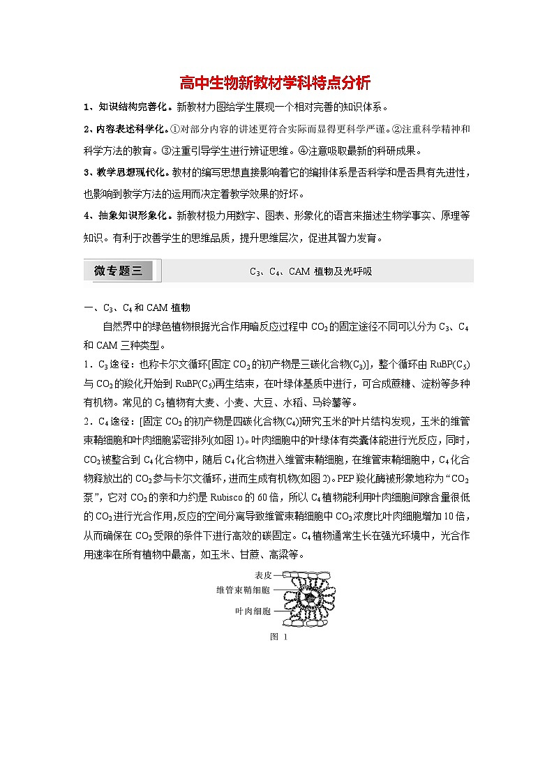 高中生物(人教版)新教材同步必修第一册课件+讲义 第5章 微专题三 C3、C4、CAM植物及光呼吸01