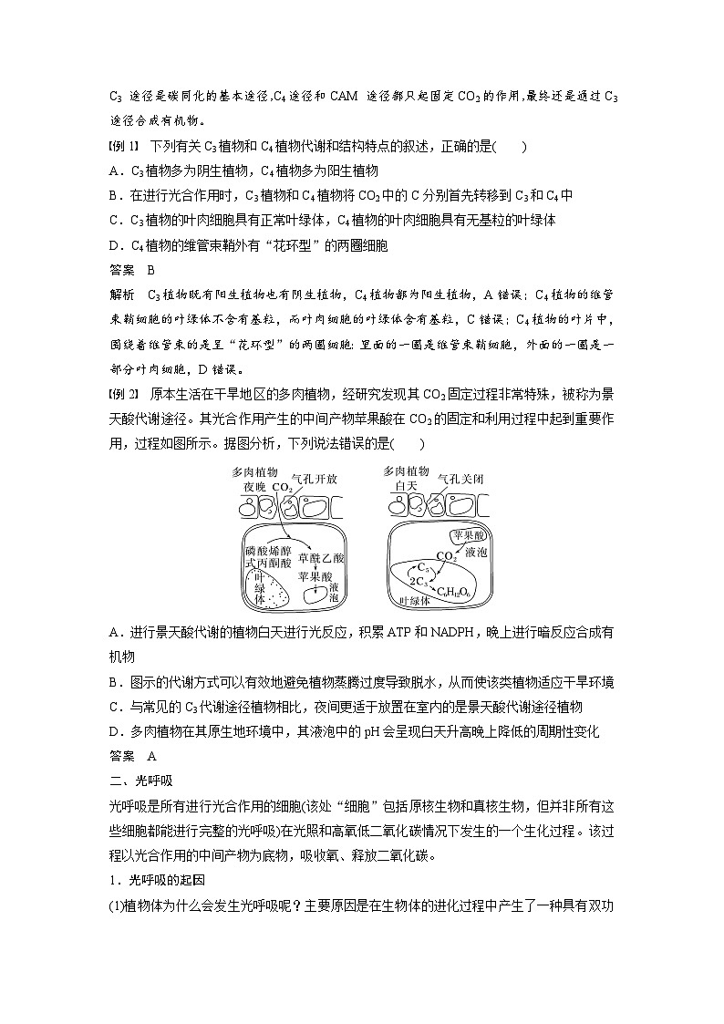 高中生物(人教版)新教材同步必修第一册课件+讲义 第5章 微专题三 C3、C4、CAM植物及光呼吸03