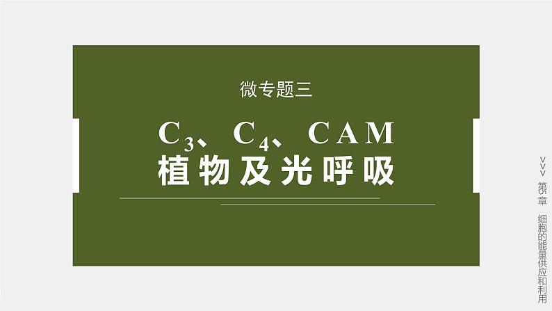 高中生物(人教版)新教材同步必修第一册课件+讲义 第5章 微专题三 C3、C4、CAM植物及光呼吸02