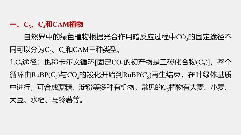 高中生物(人教版)新教材同步必修第一册课件+讲义 第5章 微专题三 C3、C4、CAM植物及光呼吸03