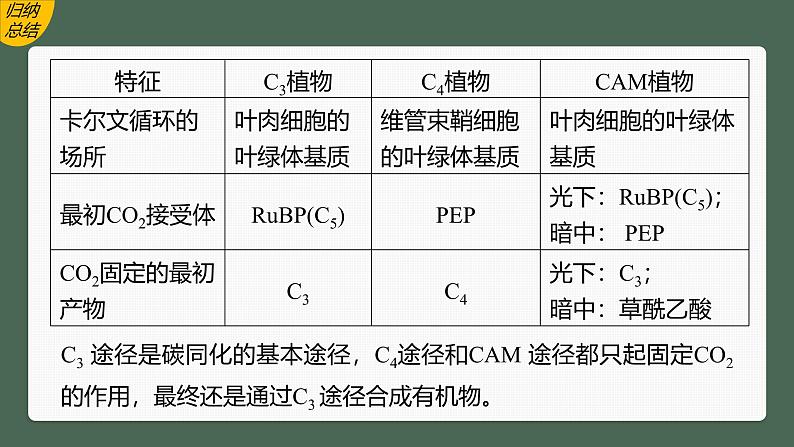 高中生物(人教版)新教材同步必修第一册课件+讲义 第5章 微专题三 C3、C4、CAM植物及光呼吸07