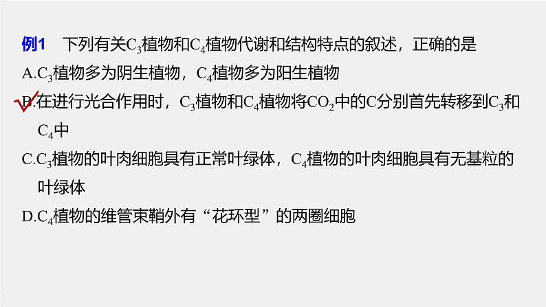 高中生物(人教版)新教材同步必修第一册课件+讲义 第5章 微专题三 C3、C4、CAM植物及光呼吸08