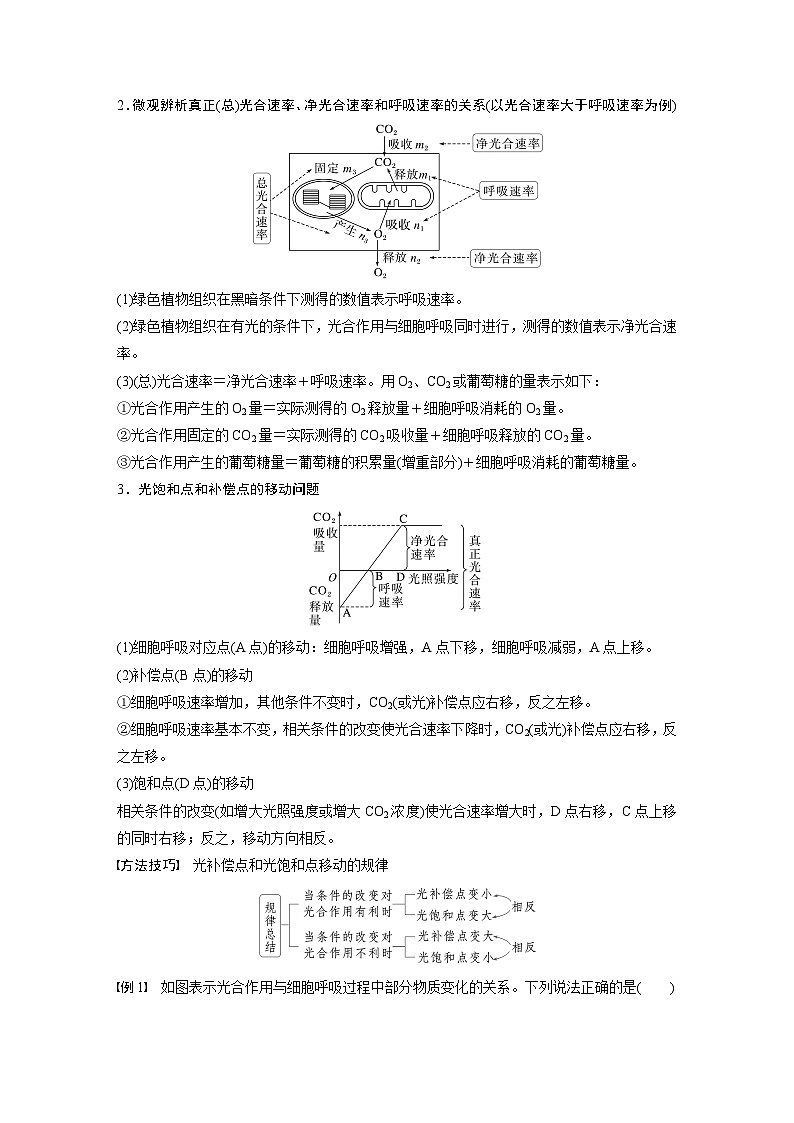 高中生物(人教版)新教材同步必修第一册课件+讲义 第5章 微专题四 光合作用与细胞呼吸的关系、曲线模型及相关实验设计02