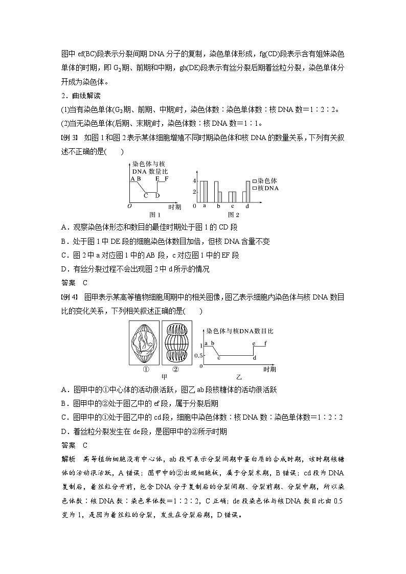 第6章 微专题五 与有丝分裂过程相关的图像和曲线分析(教师版)第3页