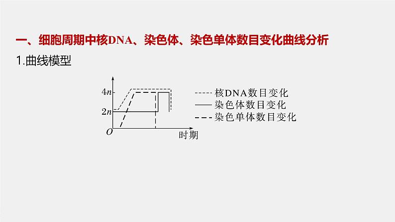 第6章 微专题五 与有丝分裂过程相关的图像和曲线分析第3页