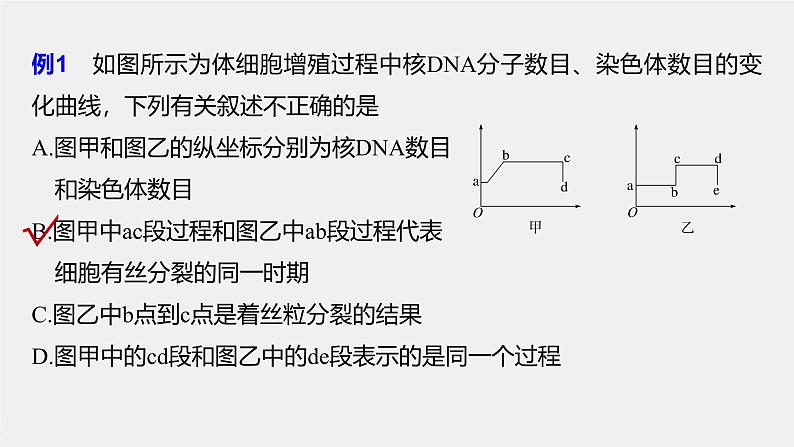 第6章 微专题五 与有丝分裂过程相关的图像和曲线分析第6页