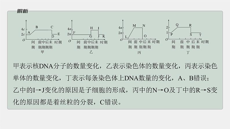 第6章 微专题五 与有丝分裂过程相关的图像和曲线分析第8页