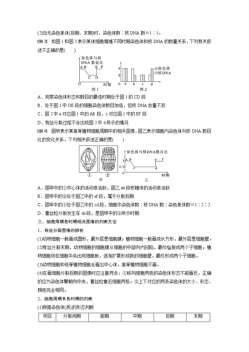 第6章 微专题五 与有丝分裂过程相关的图像和曲线分析(学生版)第3页