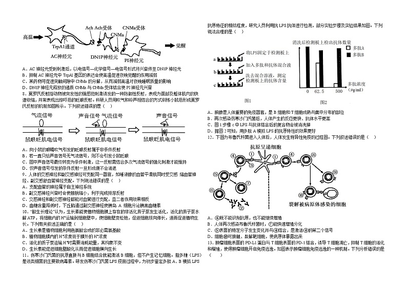 黑龙江省大庆市龙凤区大庆市东传高级中学有限公司2024-2025学年高二上学期10月月考生物试题02