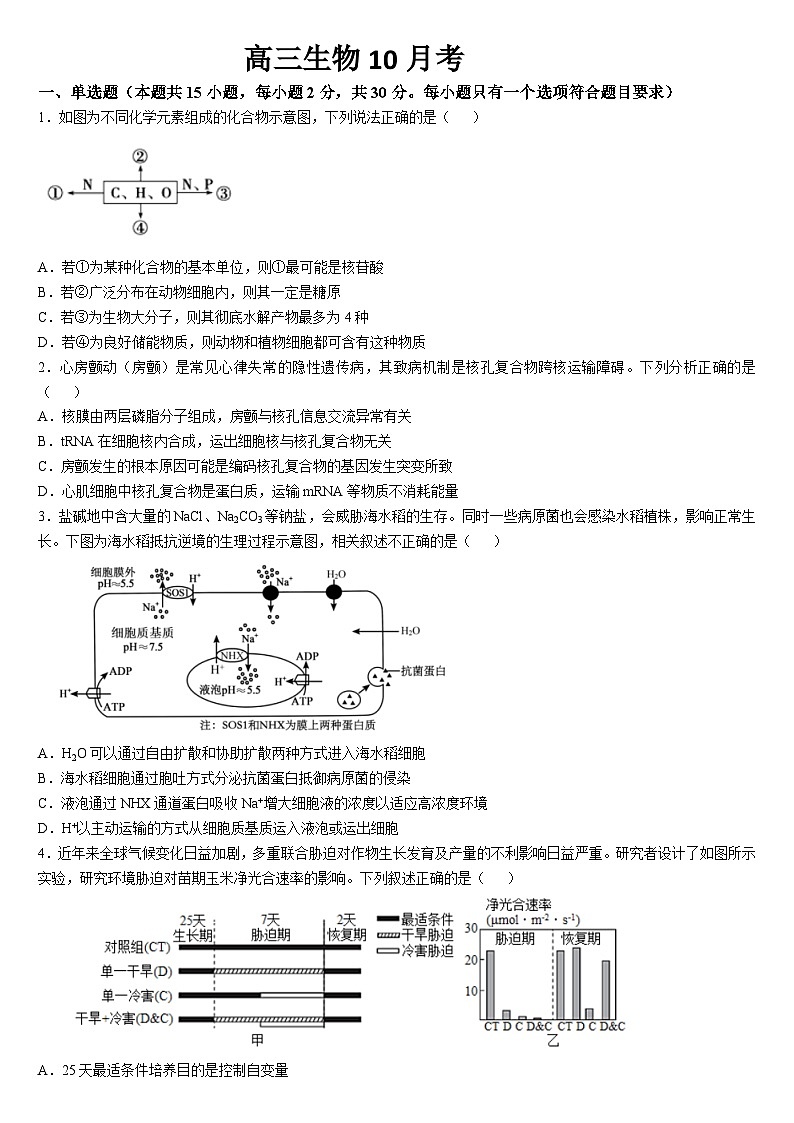 吉林省通化市梅河口市第五中学2024-2025学年高三上学期10月月考试题 生物 Word版含答案第1页