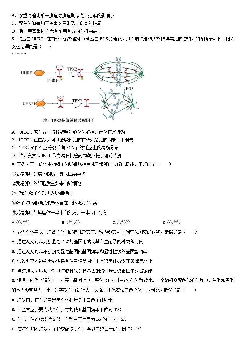 吉林省通化市梅河口市第五中学2024-2025学年高三上学期10月月考试题 生物 Word版含答案第2页