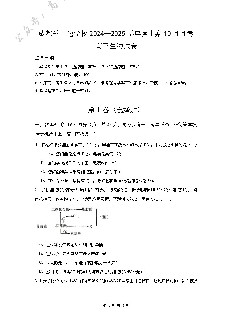 四川省成都外国语学校2024-2025学年高三上学期10月月考试题 生物 含答案(可编辑)第1页