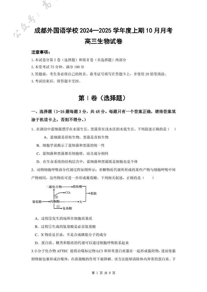 四川省成都外国语学校2024-2025学年高三上学期10月月考试题 生物 含答案(可编辑)第1页