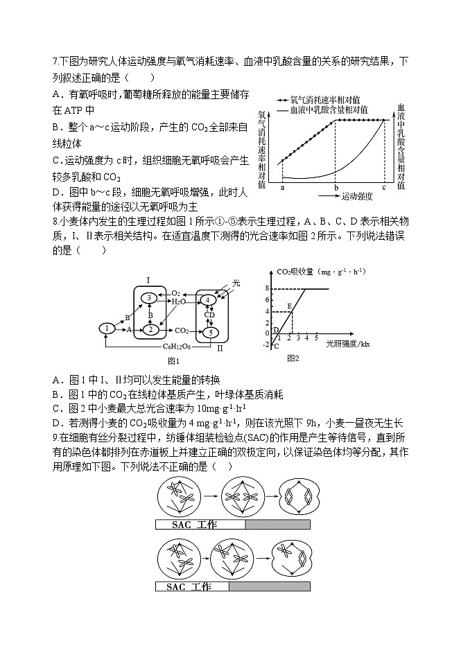 天津市静海区第一中学2024-2025学年高三上学期10月月考试题 生物 Word版含答案第3页