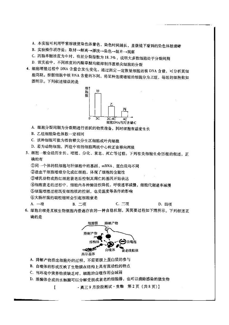 河北省部分学校2024-2025学年高三上学期9月阶段测试生物试题(PDF版附解析)第2页