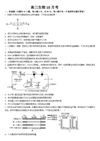 吉林省通化市梅河口市第五中学2024-2025学年高三上学期10月月考生物试题（Word版附答案）