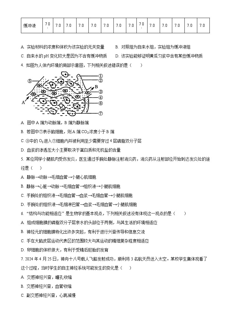 山西省大同市2024-2025学年高二上学期10月联考生物试题(Word版附答案)第2页