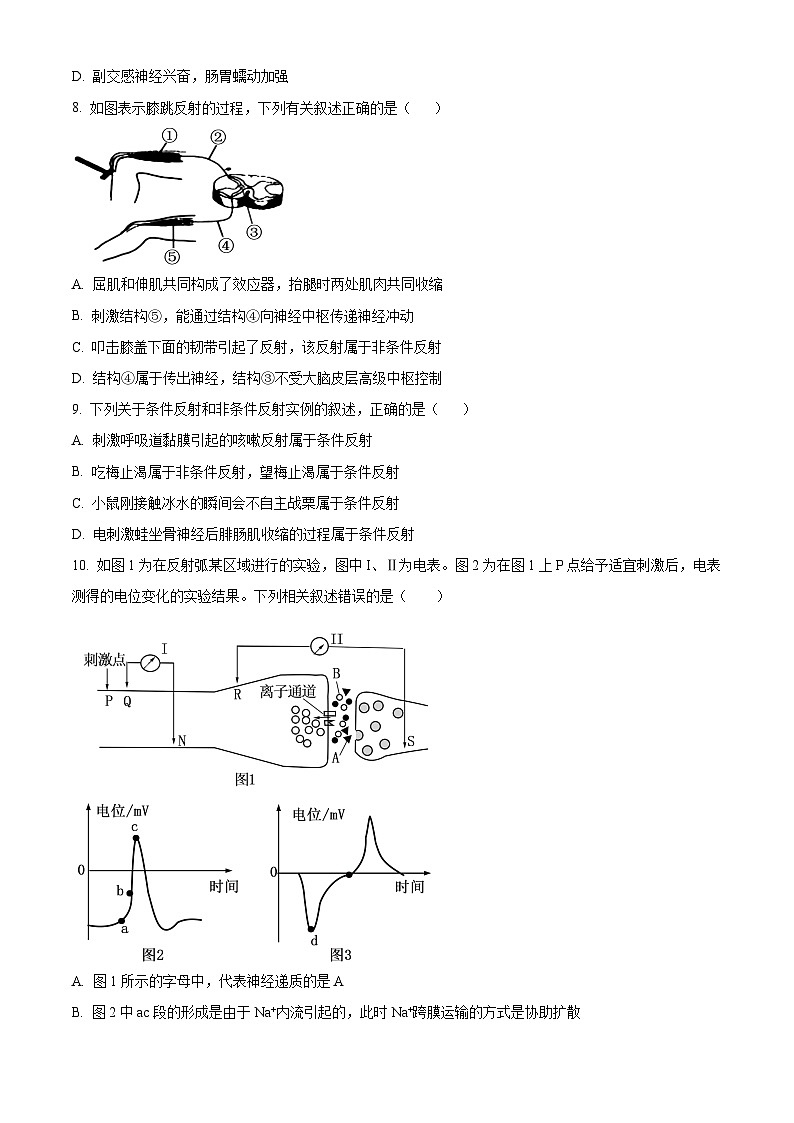 山西省大同市2024-2025学年高二上学期10月联考生物试题(Word版附答案)第3页