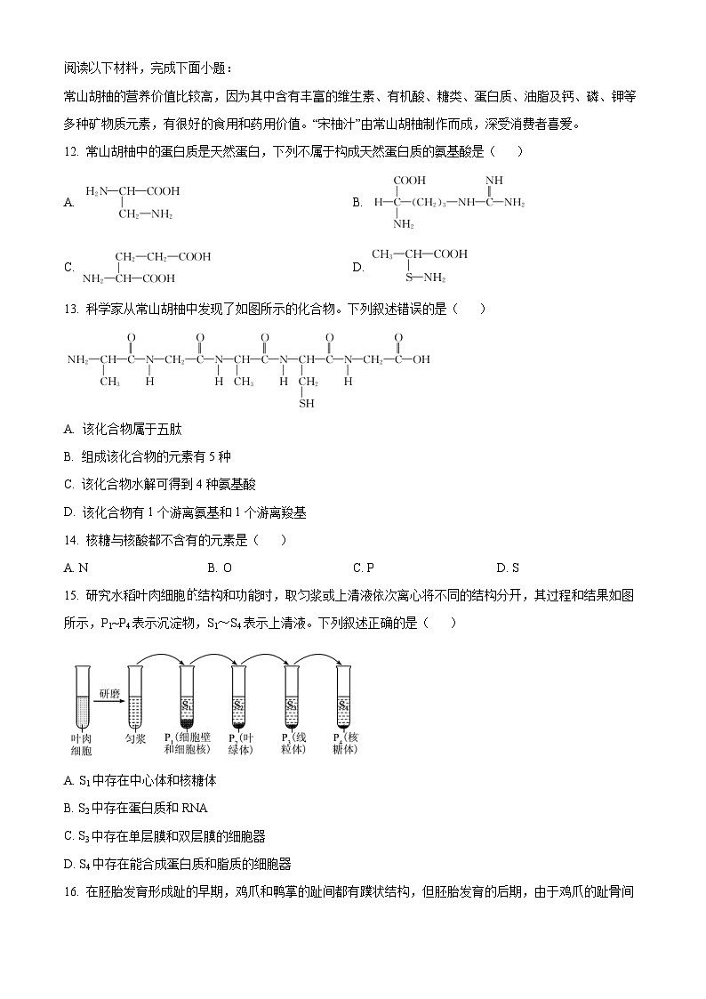 浙江省强基联盟2024-2025学年高一上学期10月联考生物试卷 Word版无答案第3页