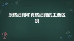 原核细胞和真核细胞的主要区别高中生物苏教版（2019） 必修1 分子与细胞 课件