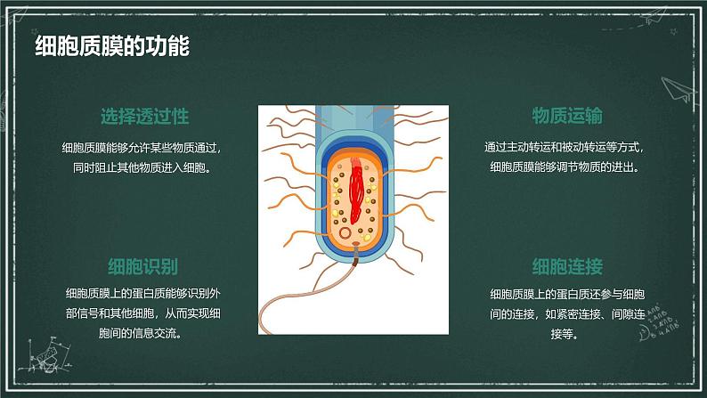 细胞质膜具有选择透过性高中生物苏教版(2019) 必修1 分子与细胞 课件06