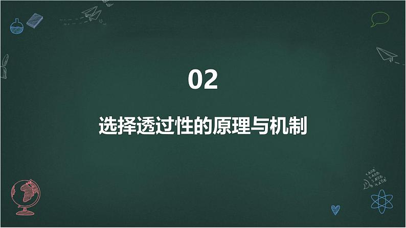 细胞质膜具有选择透过性高中生物苏教版(2019) 必修1 分子与细胞 课件07
