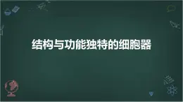 结构与功能独特的细胞器高中生物苏教版（2019） 必修1 分子与细胞 课件