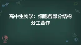 高中生物学：细胞各部分结构分工合作高中生物苏教版（2019） 必修1 分子与细胞 课件