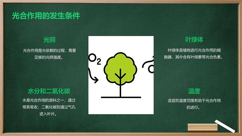 绿色植物光合作用的过程高中生物苏教版(2019) 必修1 分子与细胞 课件第5页