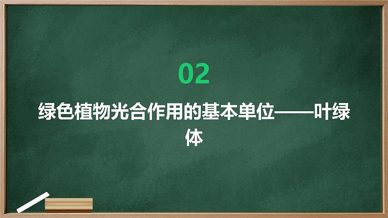 绿色植物光合作用的过程高中生物苏教版(2019) 必修1 分子与细胞 课件第7页