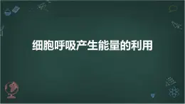 细胞呼吸产生能量的利用高中生物苏教版（2019） 必修1 分子与细胞 课件