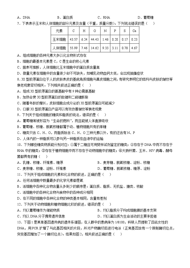 山东省泰安市肥城市肥城市慈明学校-2024-2025学年高三上学期第一次月考生物试卷第2页