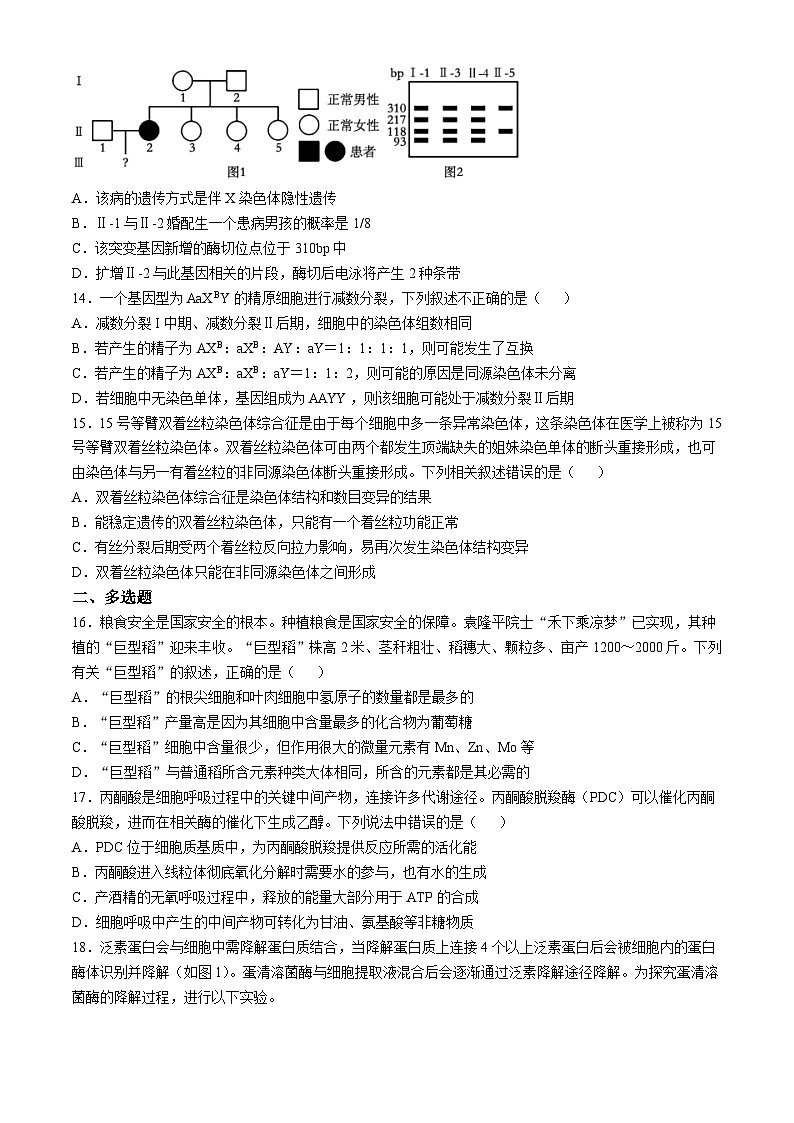 山东省泰安市肥城市肥城市慈明学校-2024-2025学年高三上学期第一次月考生物试卷第3页