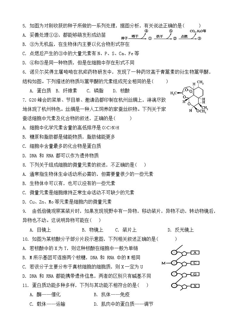 湖南省耒阳市第一中学2024-2025学年高一上学期第一次月考生物题02