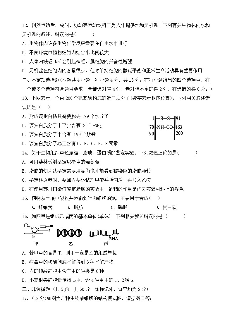 湖南省耒阳市第一中学2024-2025学年高一上学期第一次月考生物题03