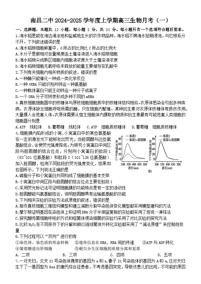 江西省南昌市第二中学2024-2025学年高三上学期10月月考生物试题第1页