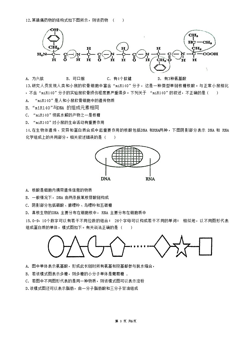 广东省梅州市兴宁市第一中学2024-2025学年高一上学期第一次月考生物试题第3页