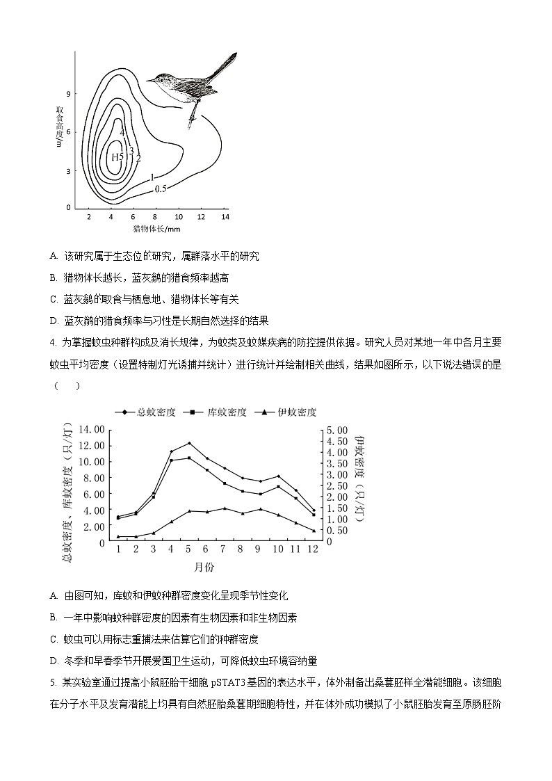 广东省雷州市龙门中学、客路中学两校2025届高三上学期10月第一次模拟考试生物试题(Word版附解析)第2页