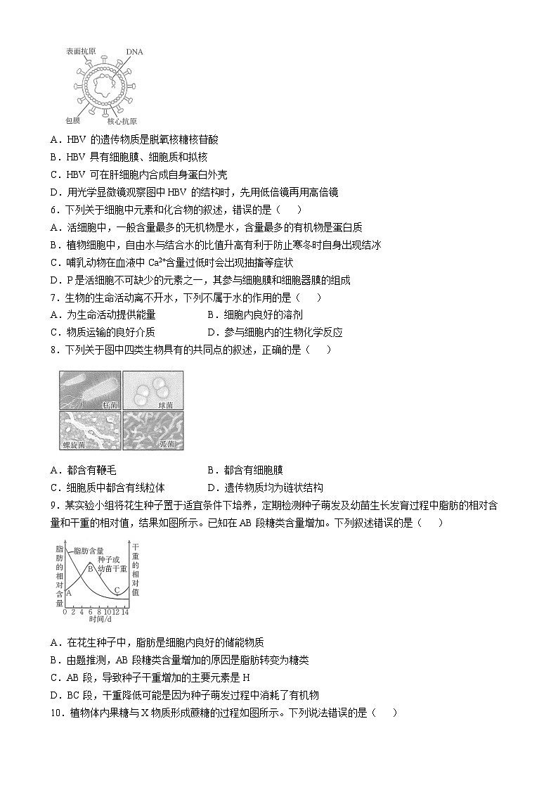 河南省名校2024-2025学年高一上学期模拟选科走班调考生物试题(Word版附答案)第2页