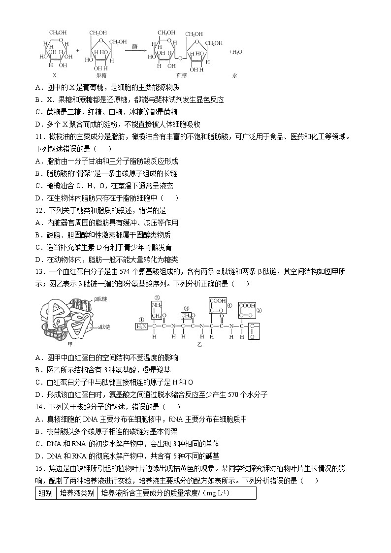 河南省名校2024-2025学年高一上学期模拟选科走班调考生物试题(Word版附答案)第3页