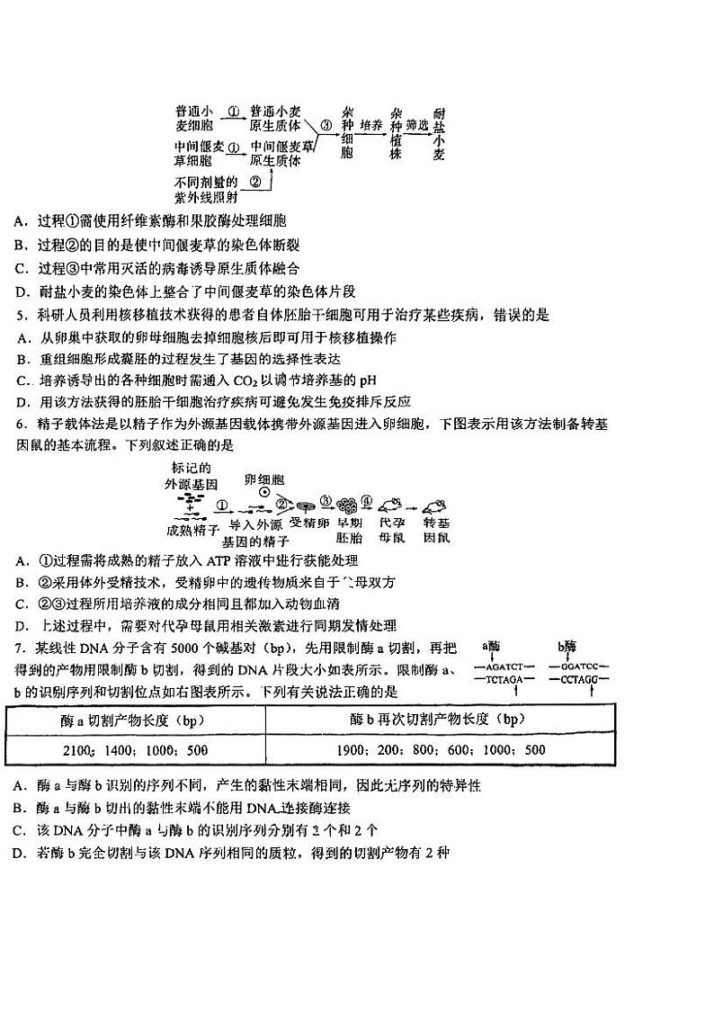 吉林省东北师范大学附属中学2024-2025学年高三上学期开学验收生物试题(PDF版附答案)第2页