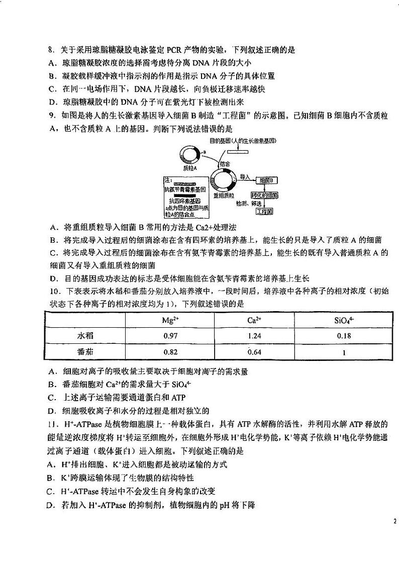 吉林省东北师范大学附属中学2024-2025学年高三上学期开学验收生物试题(PDF版附答案)第3页